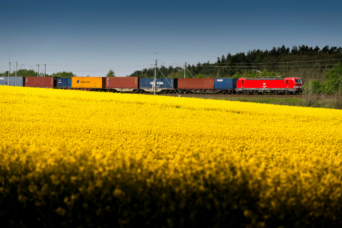Güterzug fährt durch eine Landschaft mit Rapsfeld.