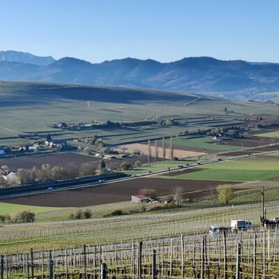 Weiter Blick auf Weinberge und ein LKW-montiertes Bohrgerät.