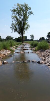 Ein Fluss mit Abgrenzungen im Wasser aus Stein und einem Baum.