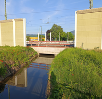 Ein kleiner Bach zwischen Wiesen und Wildblumen verläuft unter einer Eisenbahnbrücke
