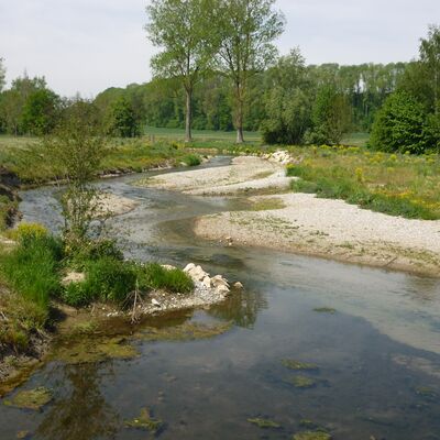 Ein mäandernder Fluss mit Kiesbänken an der Innenseite.