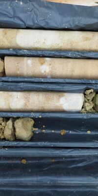 Verschiedene Bohrkerne liegen in Holzkisten.