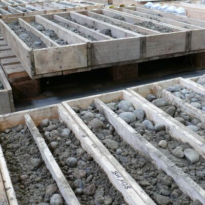 Zahlreiche Holzbehälter mit Gesteinsproben.