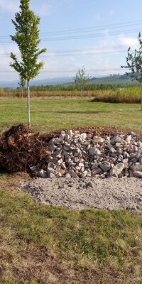 Stein- und Totholzhaufen auf einer Wiese