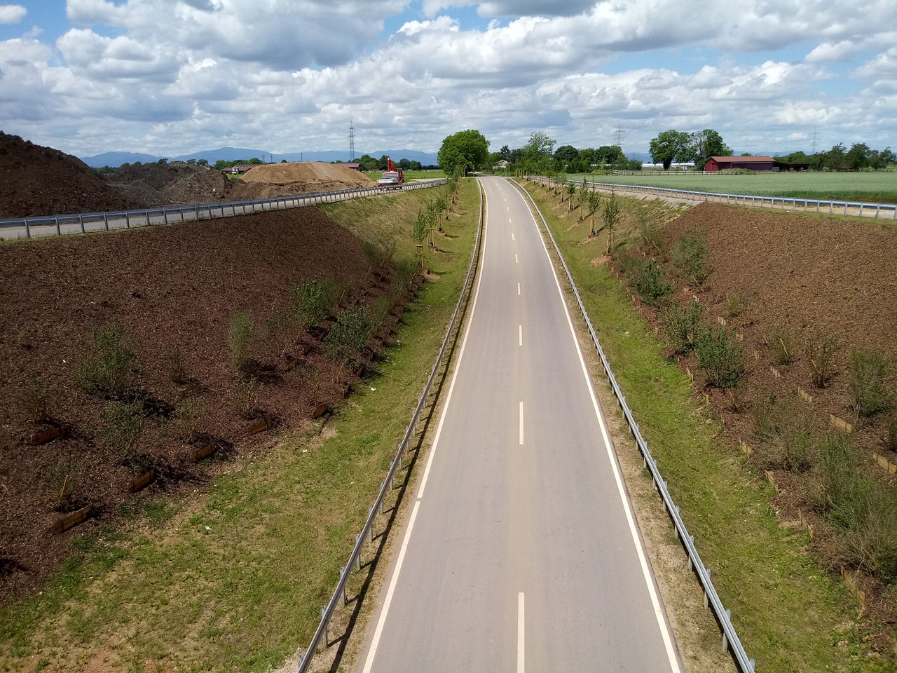 Bäume und Sträucher auf beiden Seiten führen die Fledermäuse zur Eisenbahnüberführung Zienkener Weg. (Foto: Deutsche Bahn AG/Oliver Toth)
