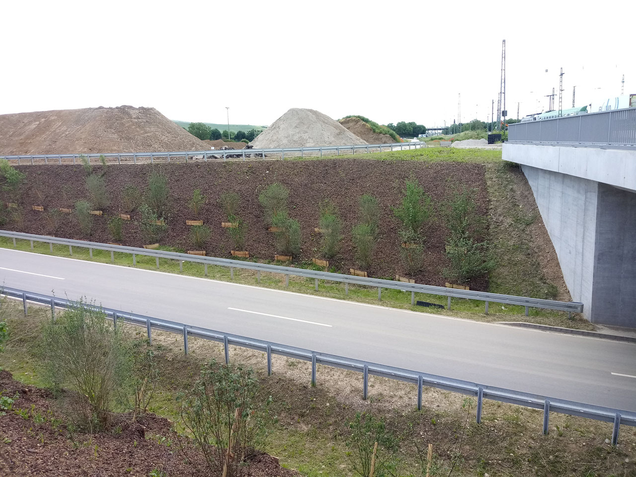 Tief fliegende Arten können unter die Brücke hindurch fliegen und so die Gleise unterqueren. (Foto: Deutsche Bahn AG/Oliver Toth)