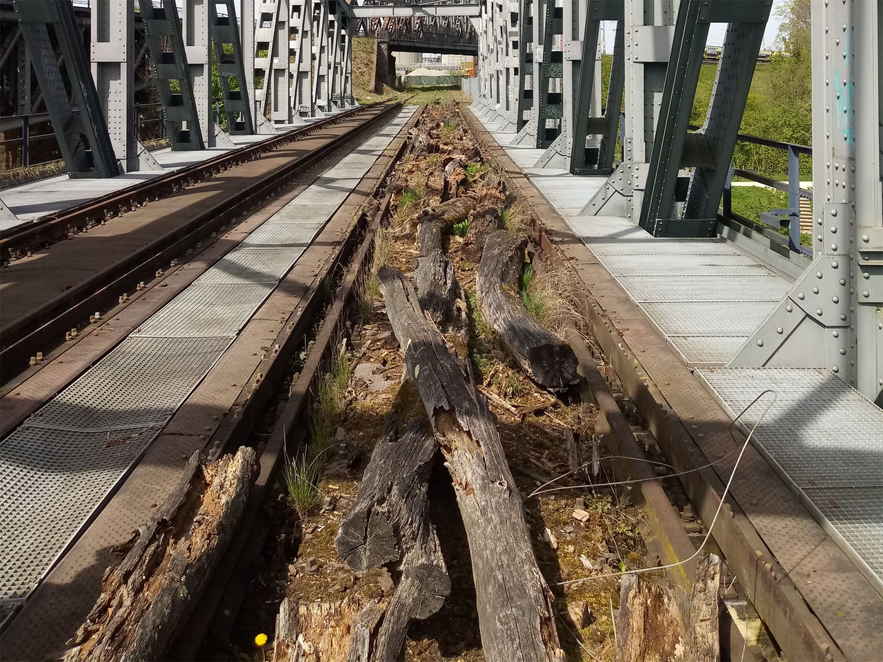 So liegen diese Totholzstrukturen zum Beispiel auf einer ehemaligen Eisenbahnbrücke. (Foto:DB AG/Oliver Toth)