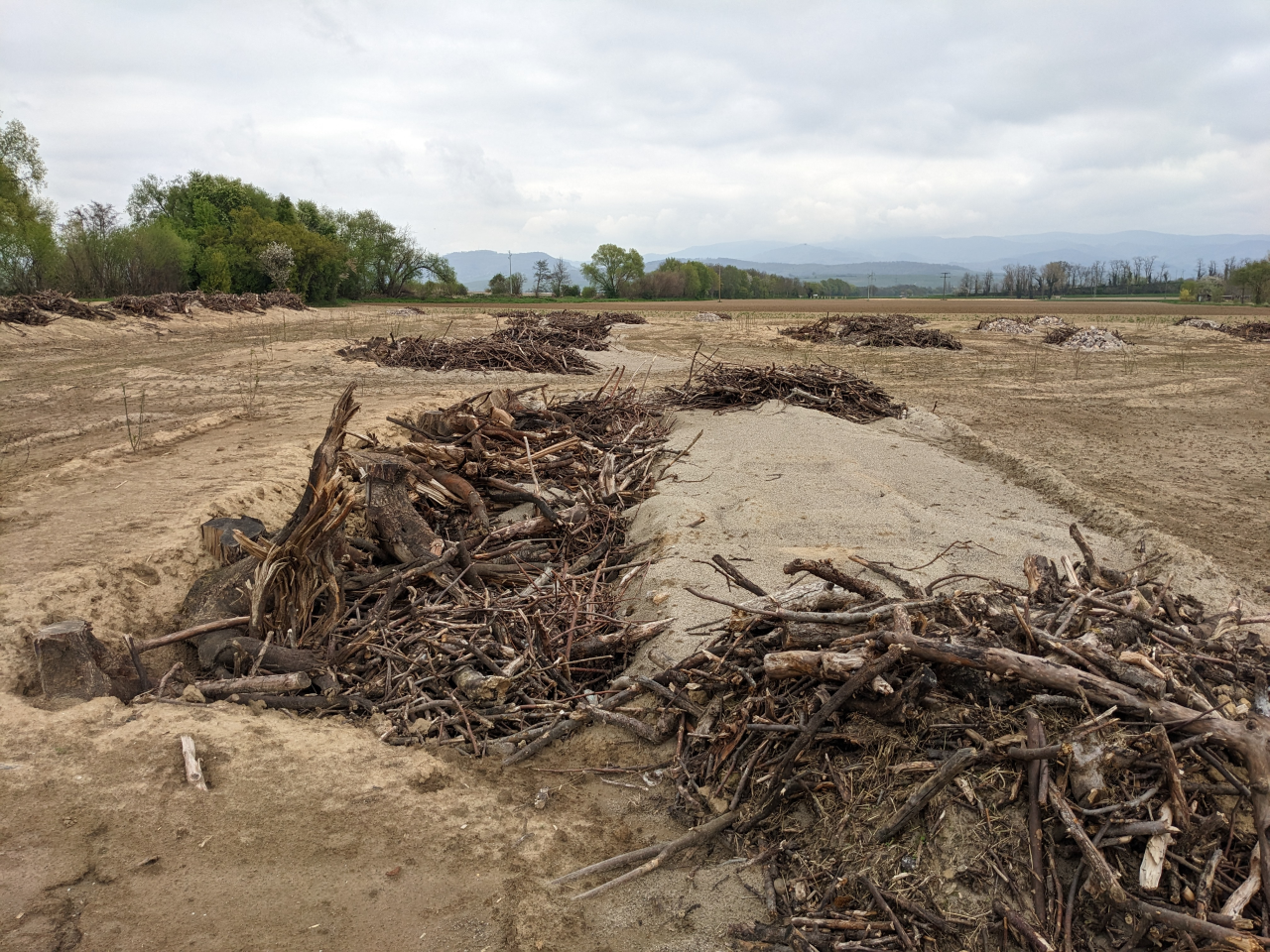 Die Totholz- und Sandhaufen sind jeweils um die zwei Quadratmeter groß. (Foto: Deutsche Bahn AG/Sabine Loskarn)